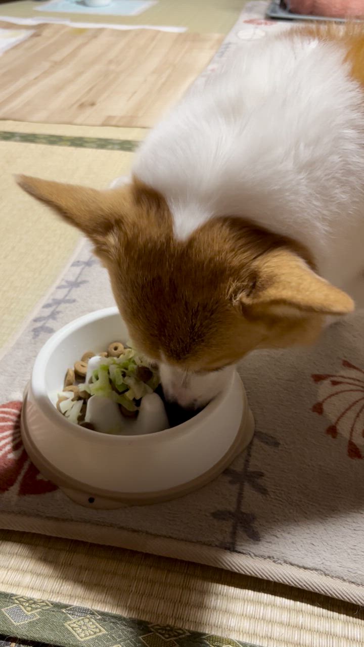 全体のレビュー動画のサムネイル | 0