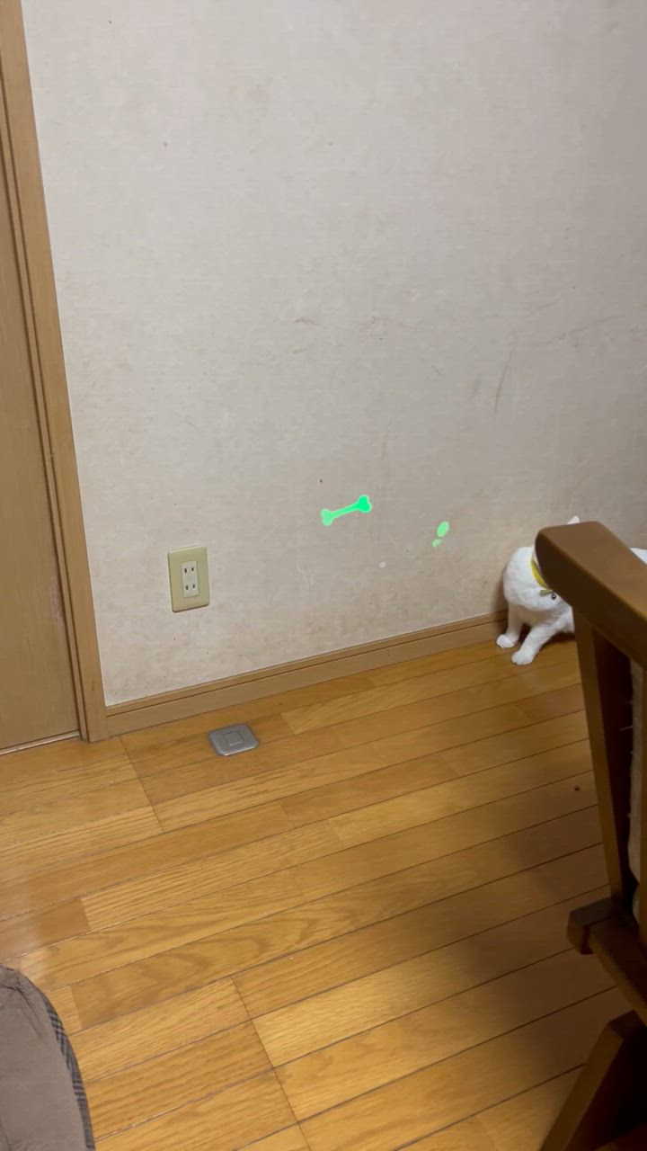 全体のレビュー動画のサムネイル | 3