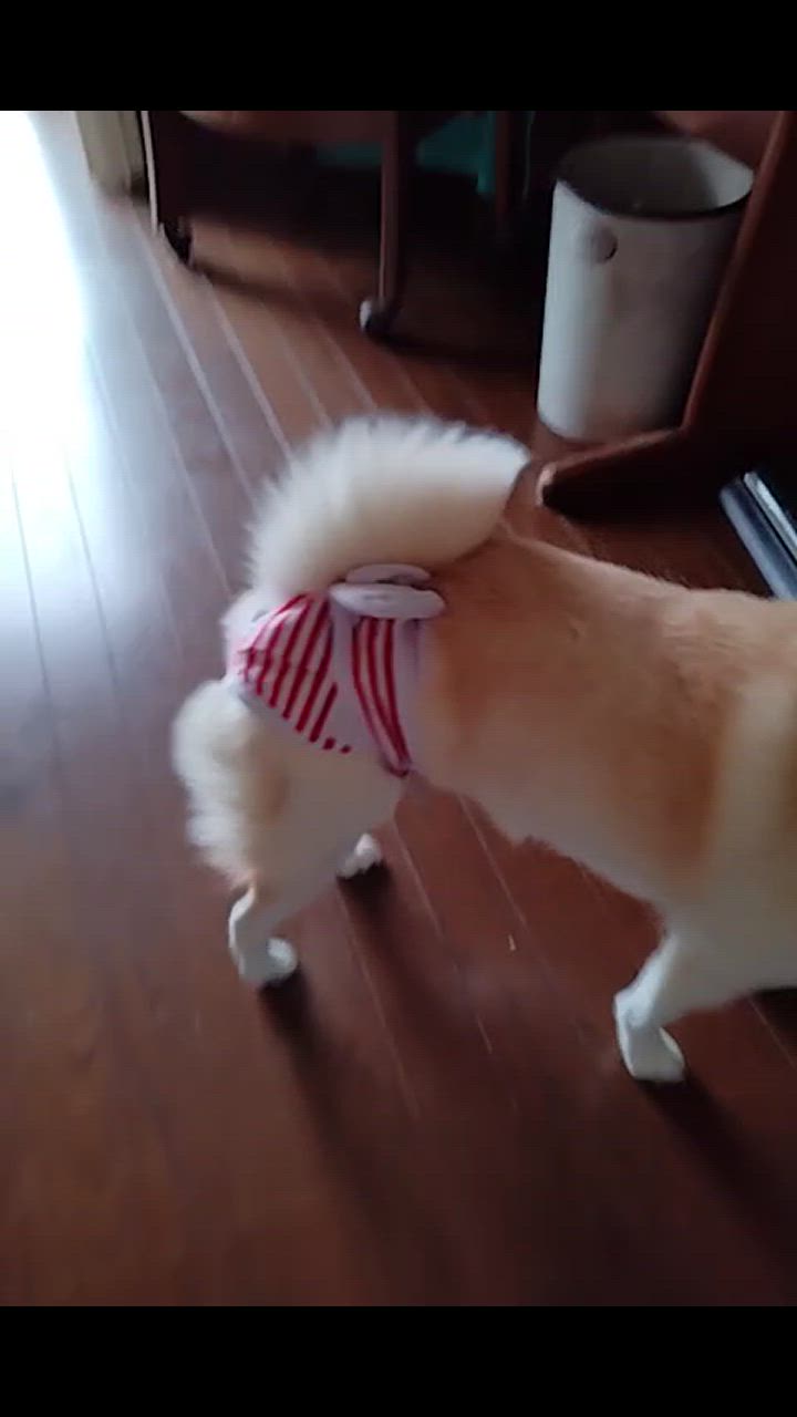 全体のレビュー動画のサムネイル | 4