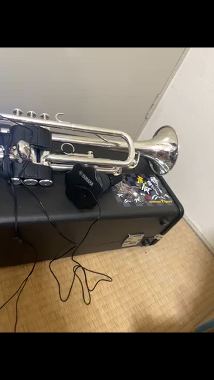 YAMAHA SILENT BRASS ヤマハ サイレントブラス トランペット