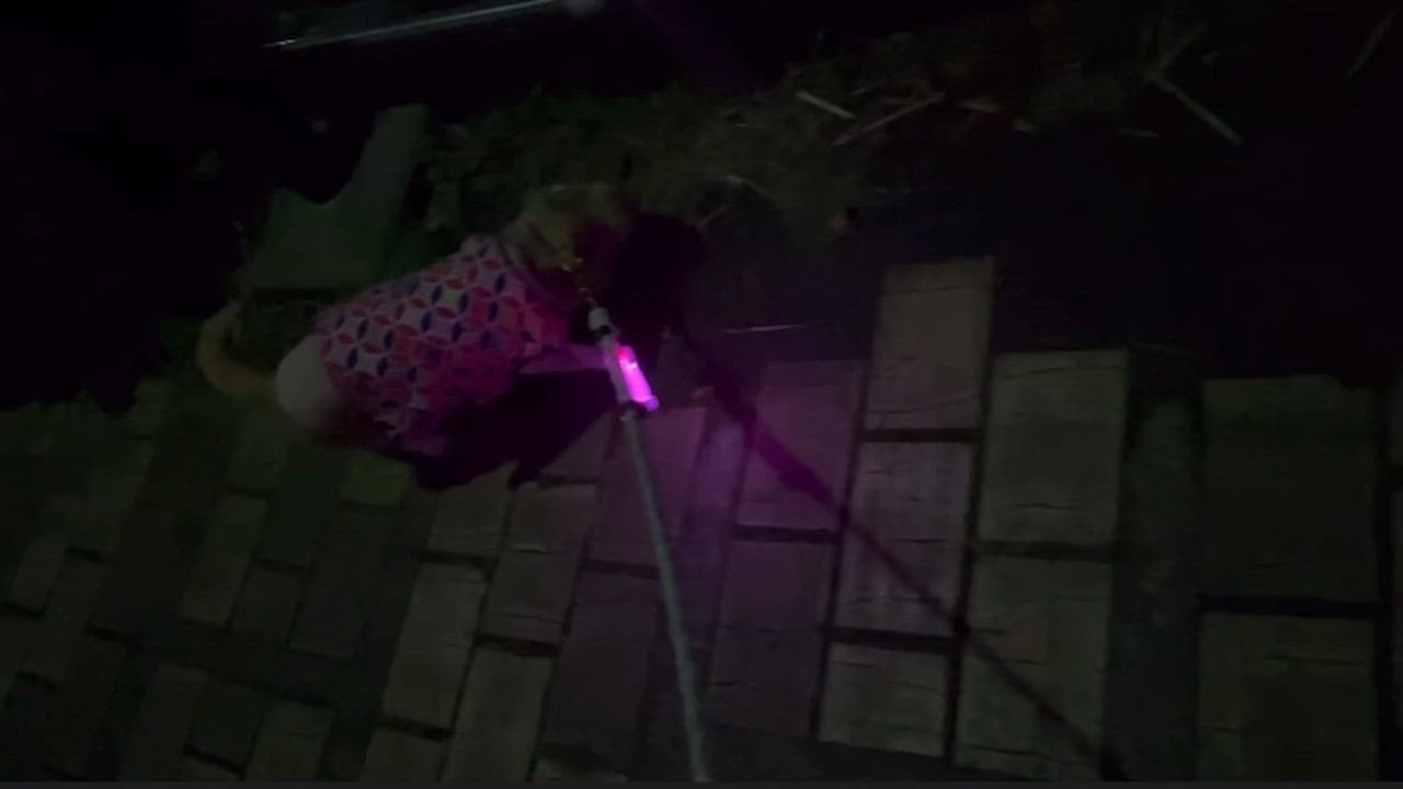 全体のレビュー動画のサムネイル | 3