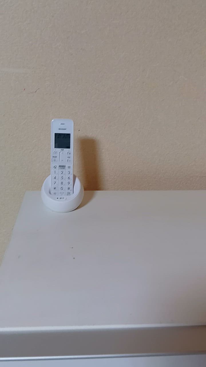 シャープ JD-S09CL-W デジタルコードレス電話機 ホワイト