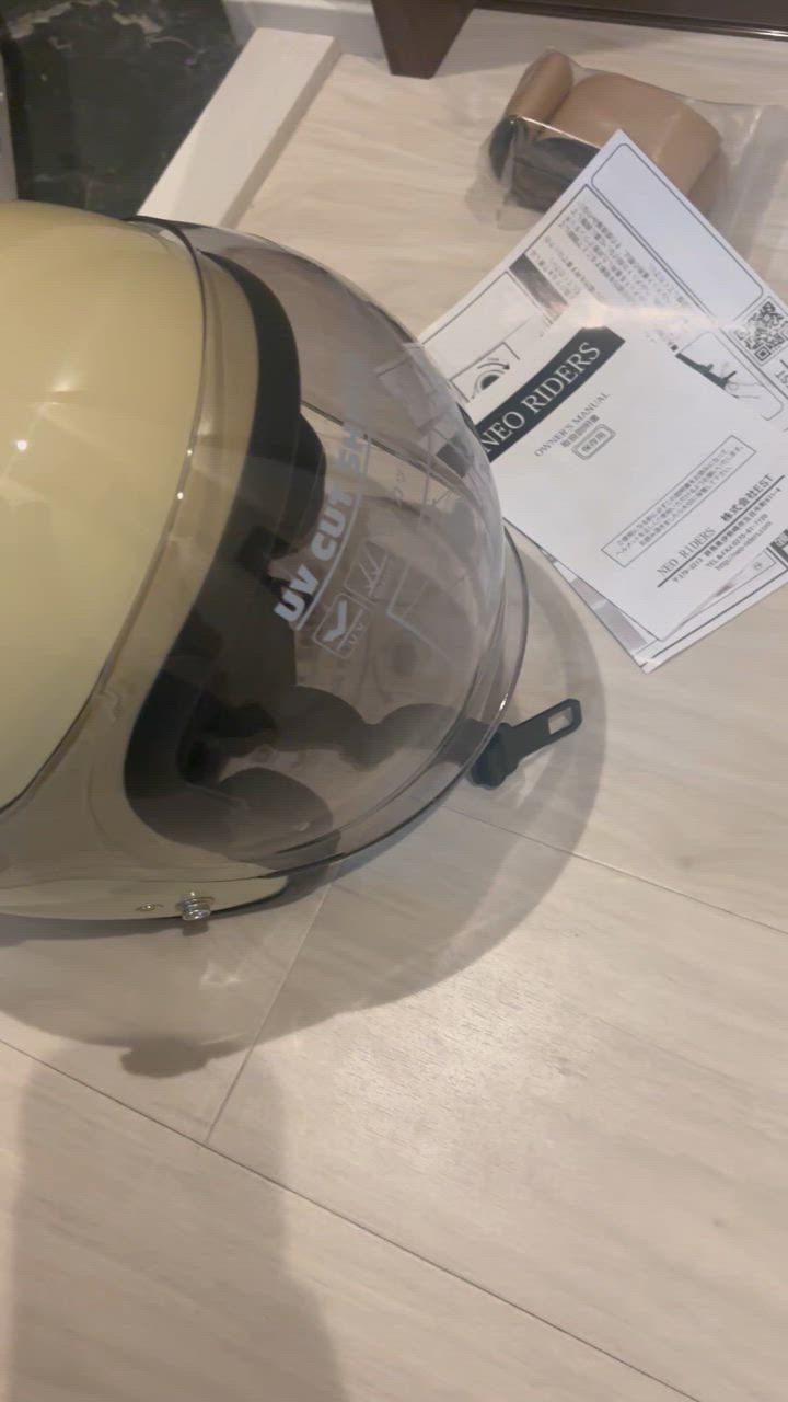 NEORIDERS ネオライダース バイク ヘルメット RZ-3 全4色