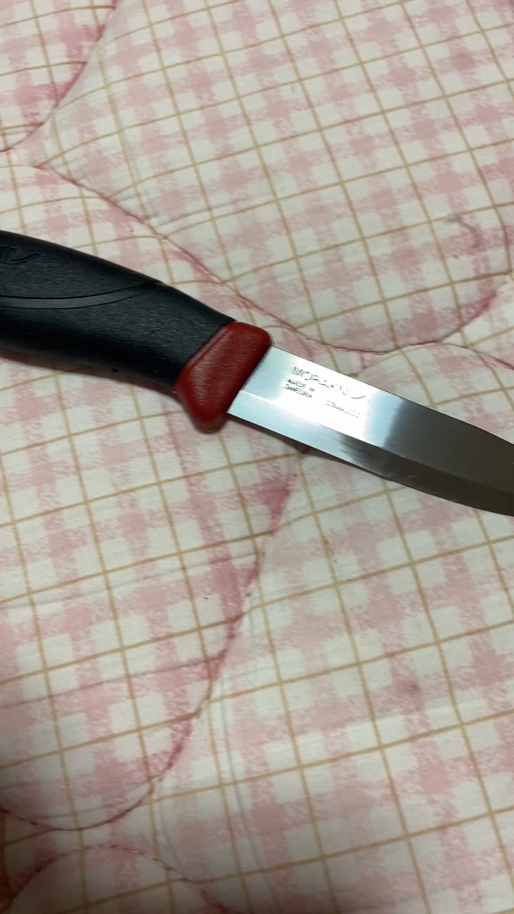 モーラナイフ コンパニオン ステンレス Morakniv | ナイフ