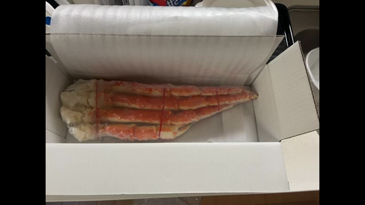全体のレビュー動画のサムネイル | 3