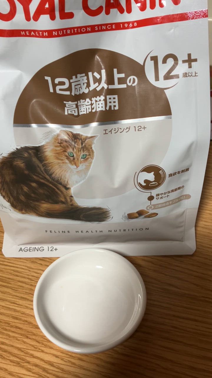 全体のレビュー動画のサムネイル | 1