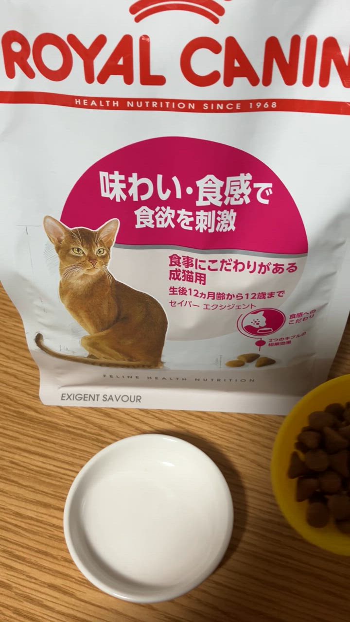 全体のレビュー動画のサムネイル | 0