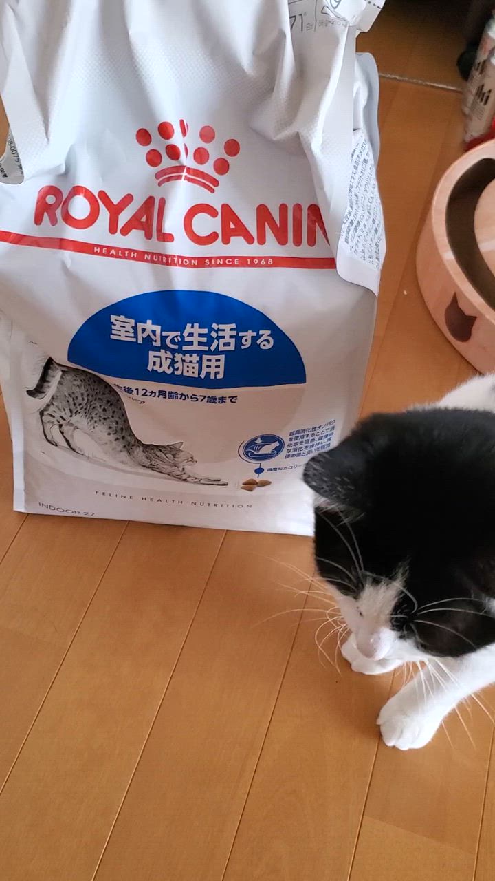 ロイヤルカナン 【4kg×2袋】ロイヤルカナン FHN インドア 室内で