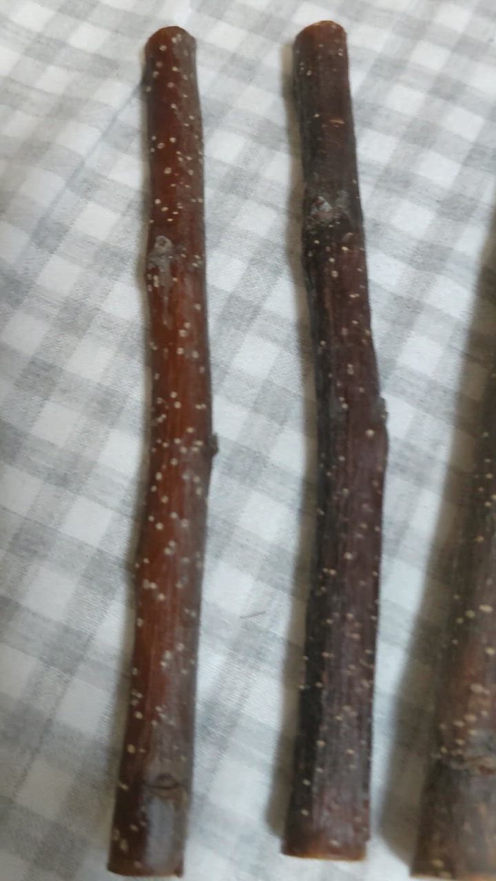 Leaf Corp かじり木 国産 りんごの木 中枝 500g お徳用