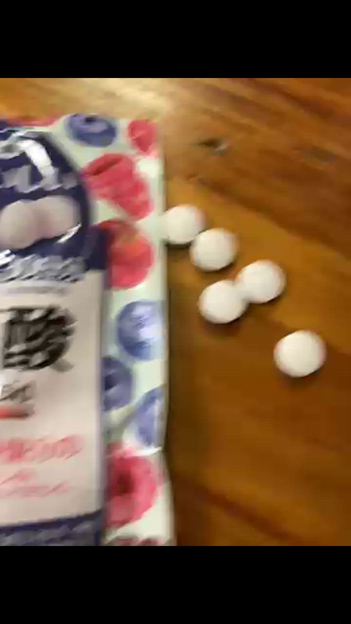 全体のレビュー動画のサムネイル | 4