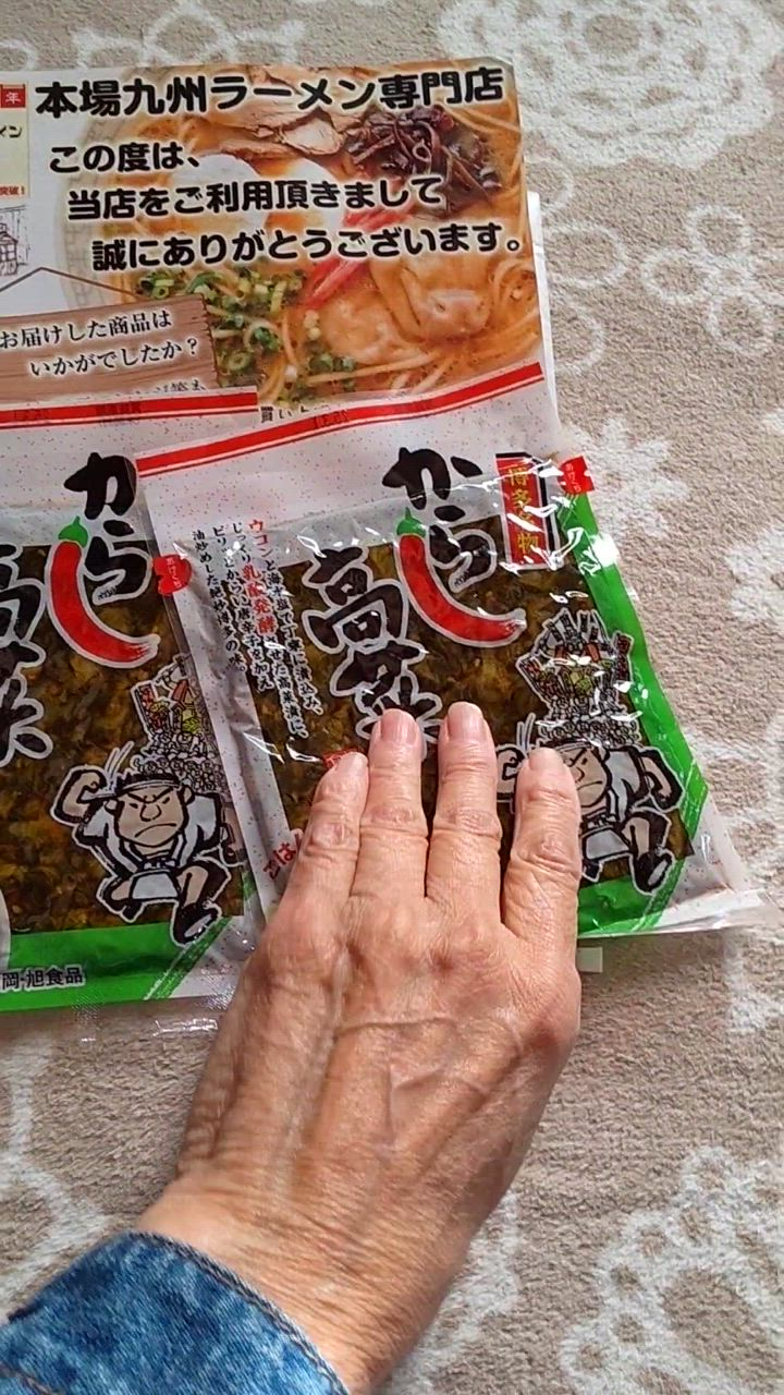 辛子高菜 本場九州産 からし高菜 油炒め ×2袋セット ピリ辛