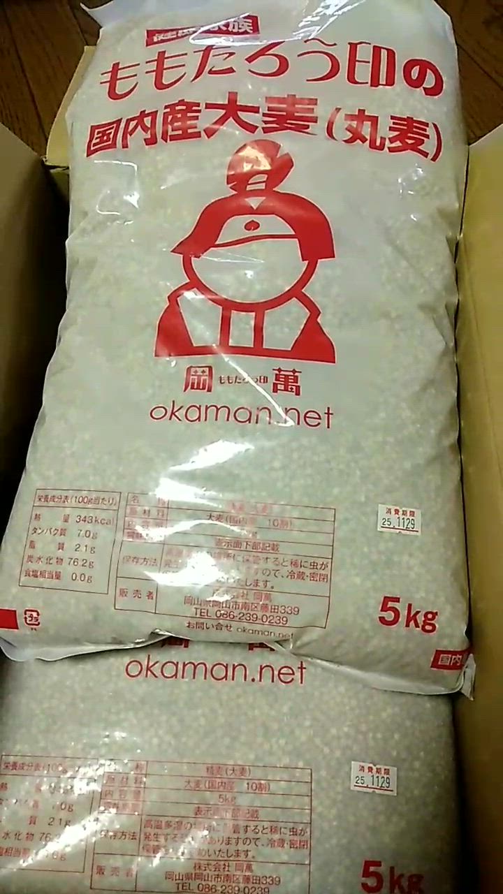 全体のレビュー動画のサムネイル | 13