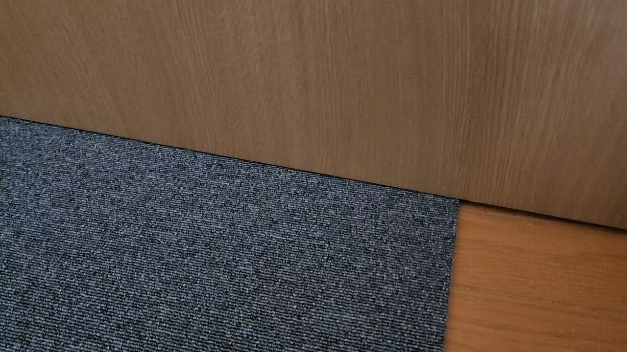 1件目のレビュー動画のサムネイル | 0