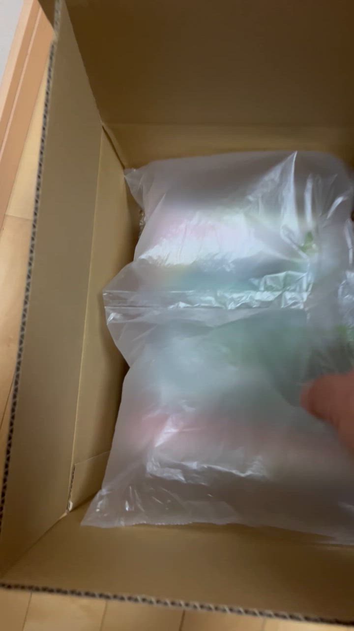 全体のレビュー動画のサムネイル | 2
