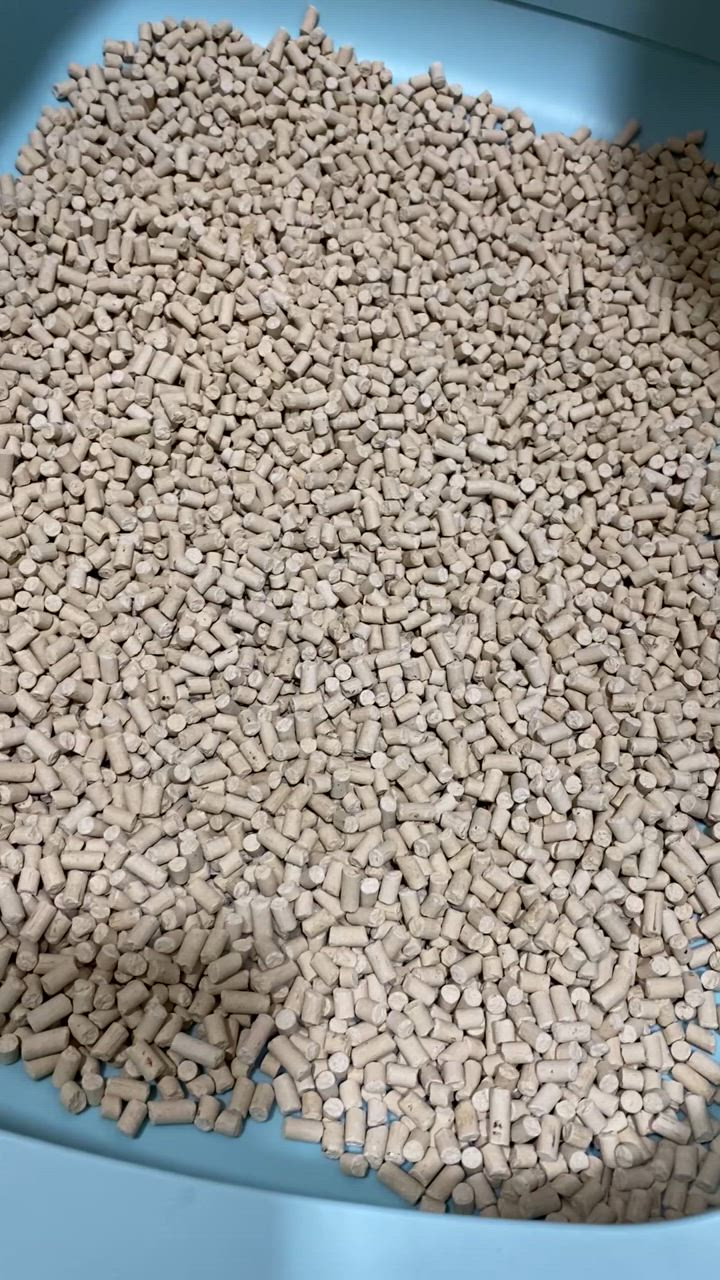 全体のレビュー動画のサムネイル | 5