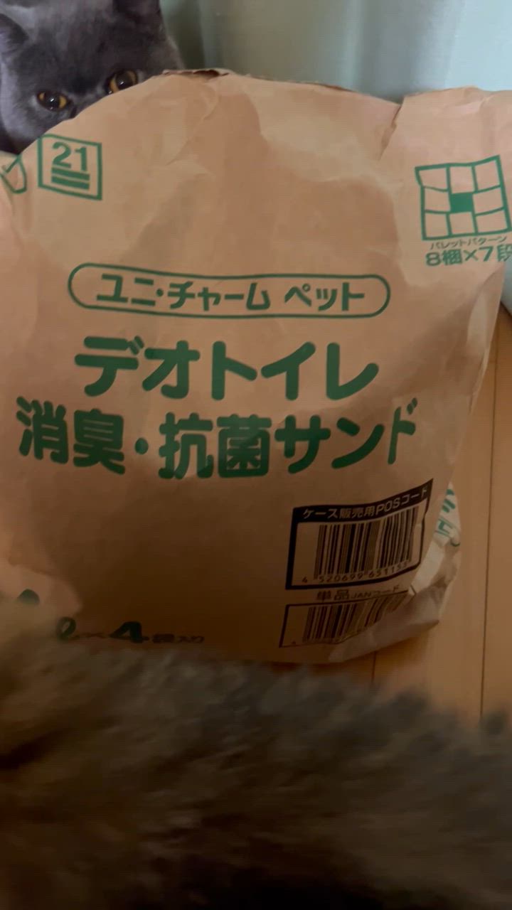 全体のレビュー動画のサムネイル | 5