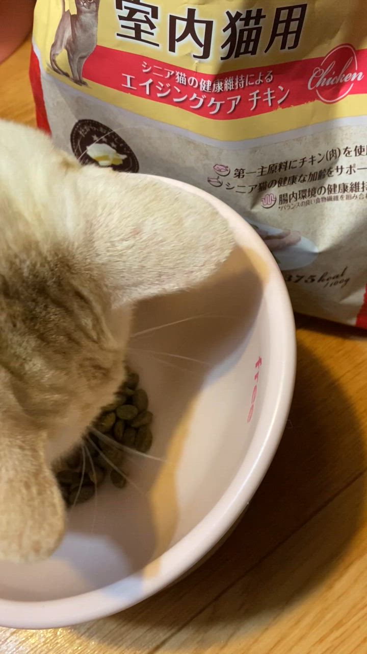 ニュートロジャパン ナチュラルチョイス室内猫用エイジングケアチキン2kg khxv5rg ナチュラルチョイス ニュートロ ナチュラルチョイス キャット