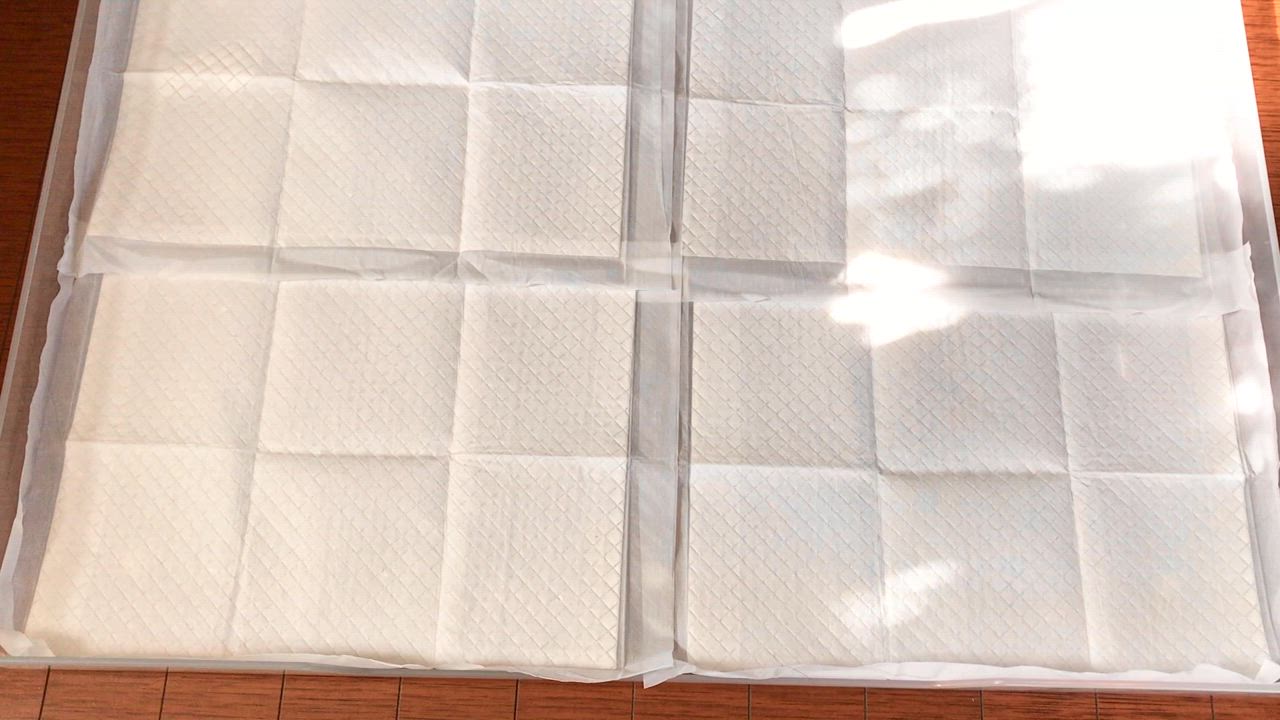 全体のレビュー動画のサムネイル | 11