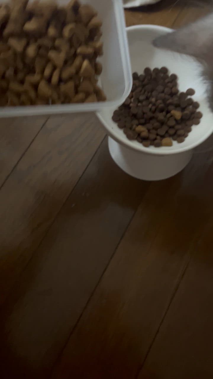 全体のレビュー動画のサムネイル | 0