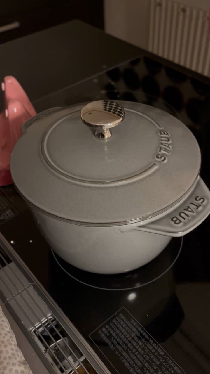 ∞STAUBストウブ∞ ラ ココット de GOHAN グレー M 二合用 ストウブ 鋳物ホーロー鍋 ラ・ココット de GOHAN 12 cm