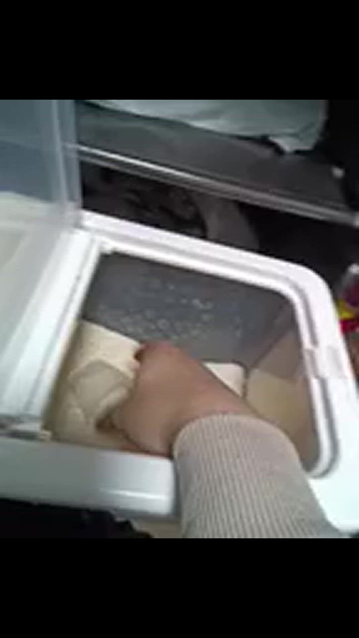 全体のレビュー動画のサムネイル | 10