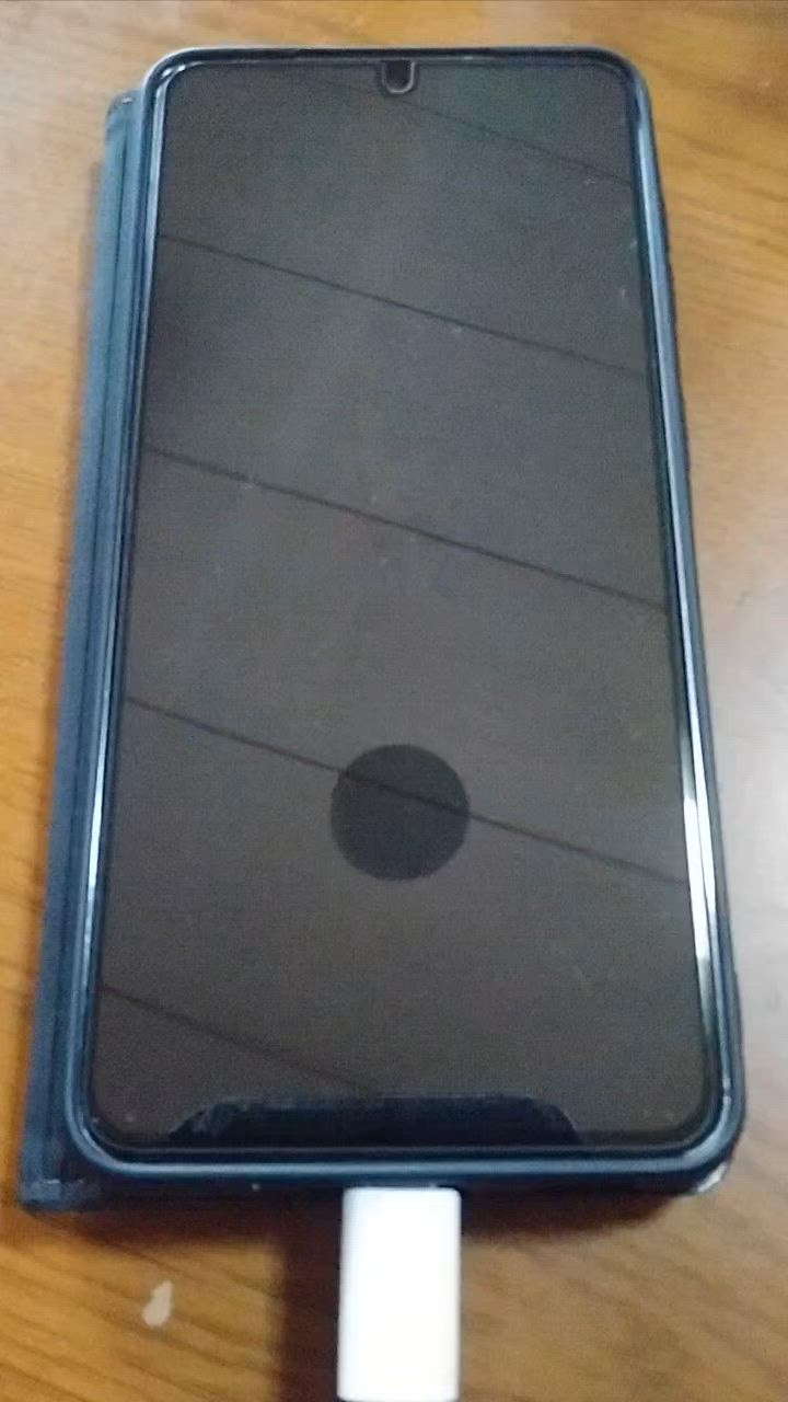 全体のレビュー動画のサムネイル | 0
