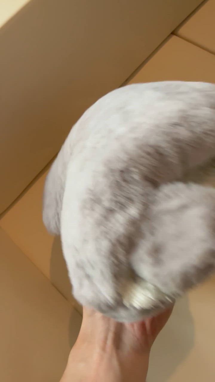 全体のレビュー動画のサムネイル | 17