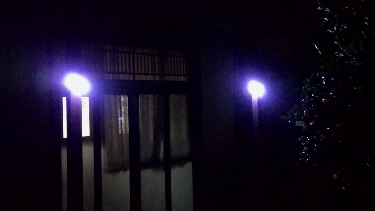 全体のレビュー動画のサムネイル | 3