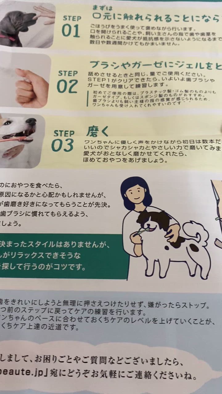 正規品 Dr.wandel ドクターワンデル 30g ( 1ヶ月分 ) 愛犬の歯周 正規品 Dr.wandel ドクターワンデル 30g ( 1ヶ月分 ) 愛犬の歯周