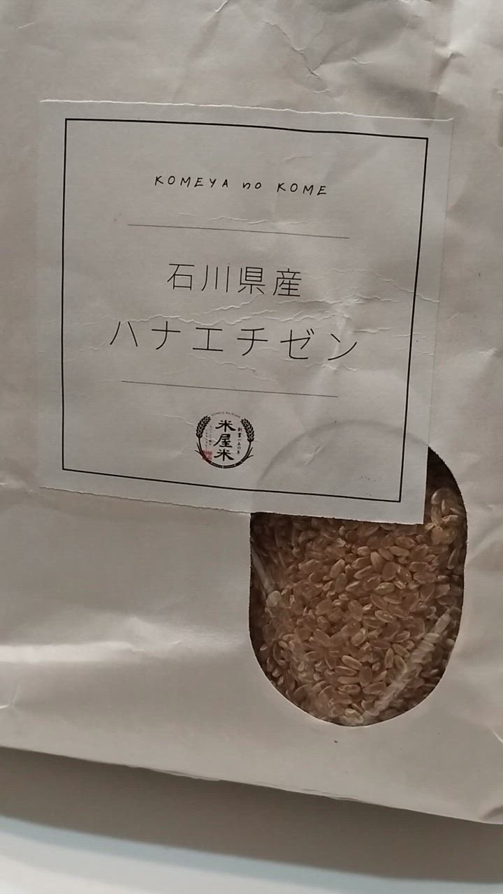 玄米 10kg ハナエチゼン 石川県産 令和6年 新米 5kg×2袋 10キロ