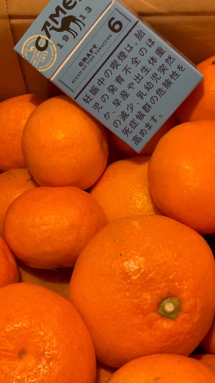 現在出荷中！特に訳ありみかん3kg(+約0.2kg多め)【送料無料