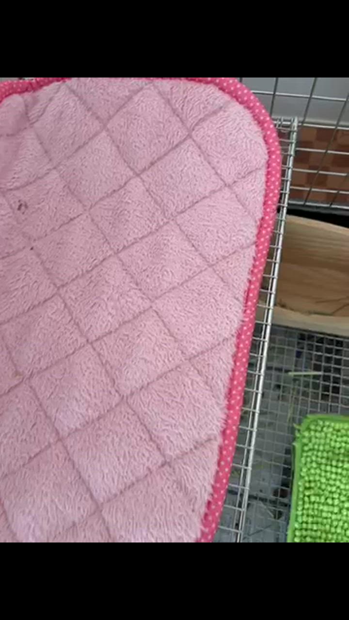 全体のレビュー動画のサムネイル | 0