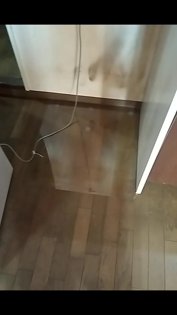 全体のレビュー動画のサムネイル | 0