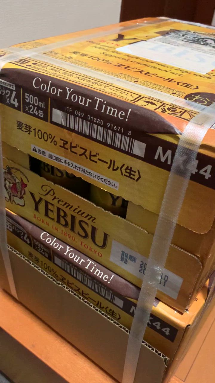 エビスビール500ml 2箱セット（計48缶） ヱビスビール サッポロ エビスビール 500ml 24缶入 2ケース (48