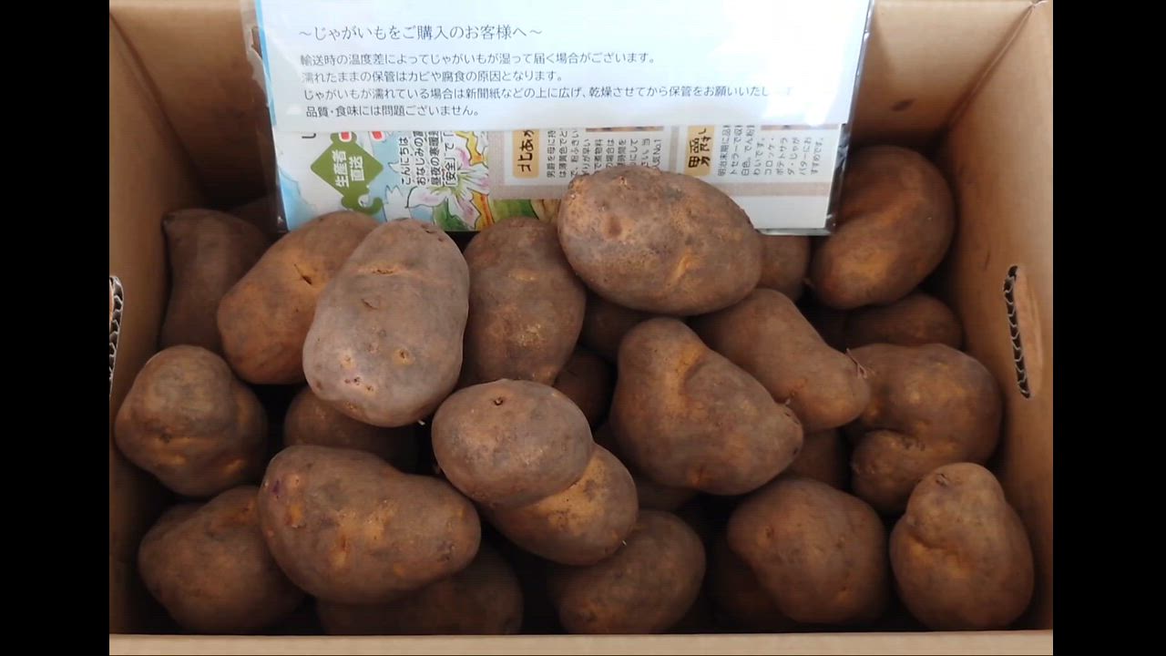 全体のレビュー動画のサムネイル | 0