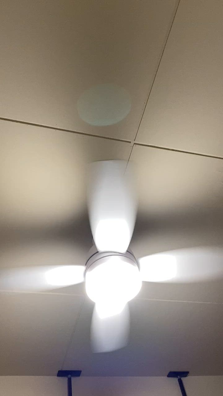 全体のレビュー動画のサムネイル | 4