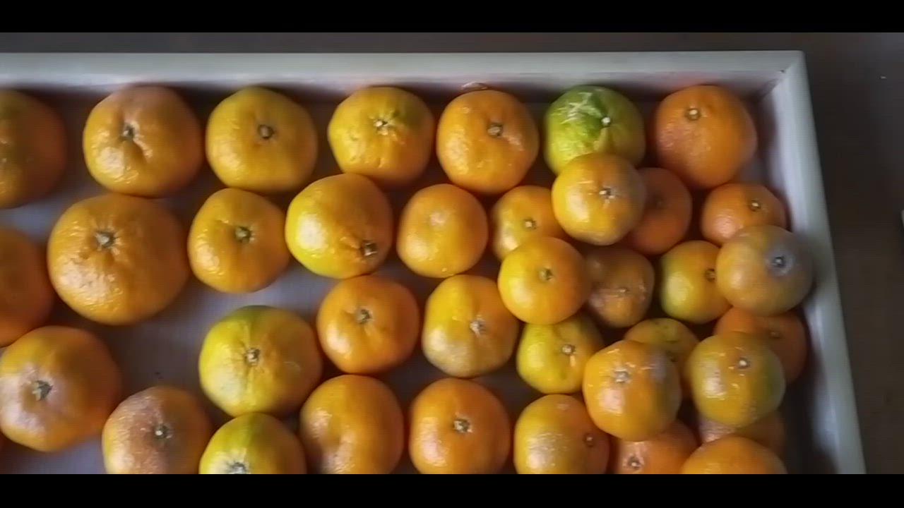 全体のレビュー動画のサムネイル | 1