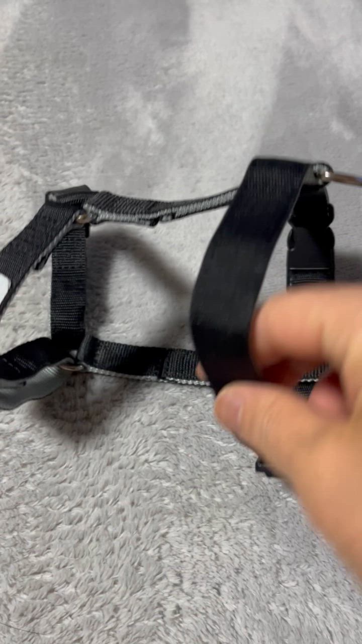 全体のレビュー動画のサムネイル | 1