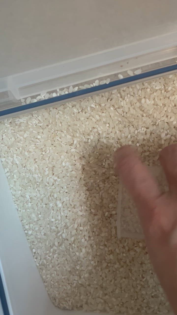 全体のレビュー動画のサムネイル | 8