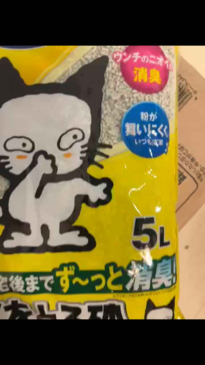 全体のレビュー動画のサムネイル | 13