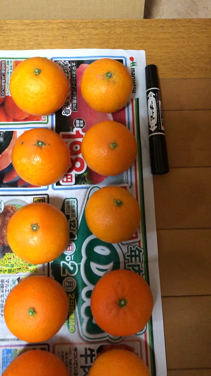 只今出荷中！愛媛産 ご家庭用春の 農家さんもぐもぐ 外なり訳