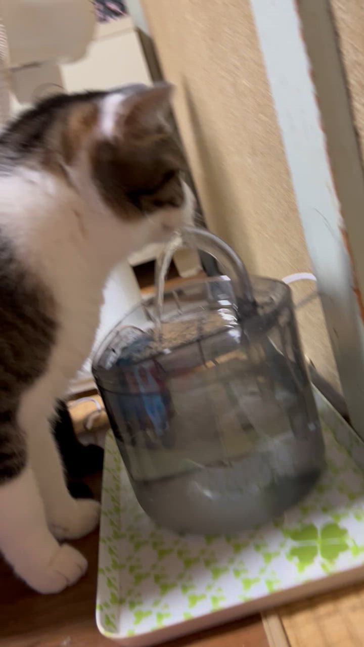 全体のレビュー動画のサムネイル | 1