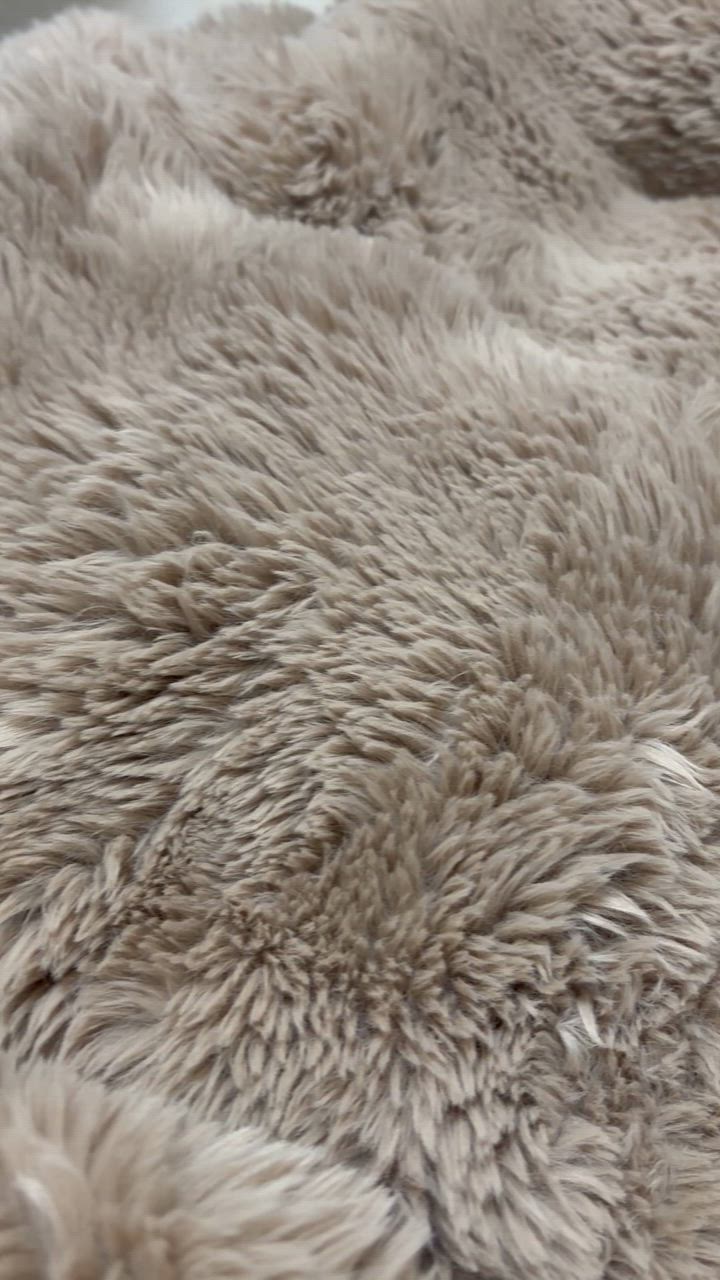 全体のレビュー動画のサムネイル | 1