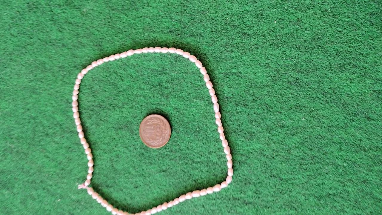 1件目のレビュー動画のサムネイル | 0