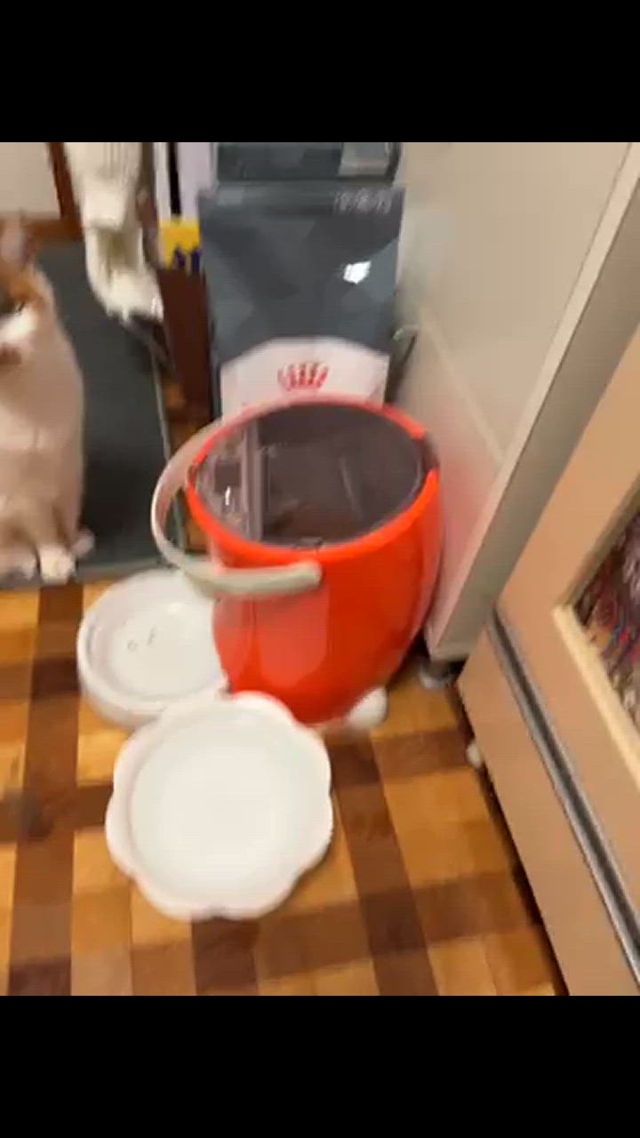 全体のレビュー動画のサムネイル | 14