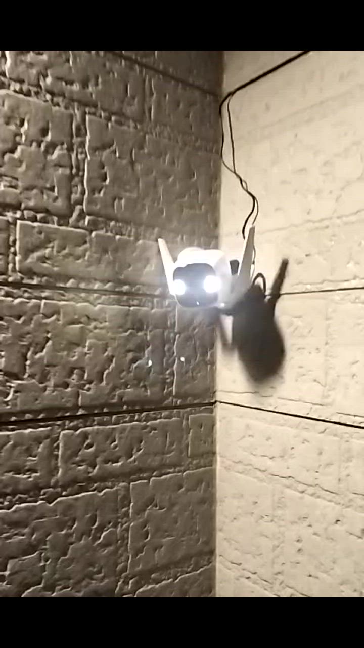全体のレビュー動画のサムネイル | 1