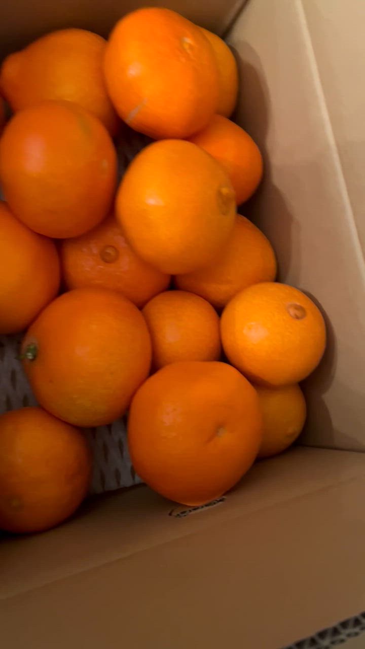 あいか5kg 愛果28号【紅まどんな】【送料無料】【愛媛県産