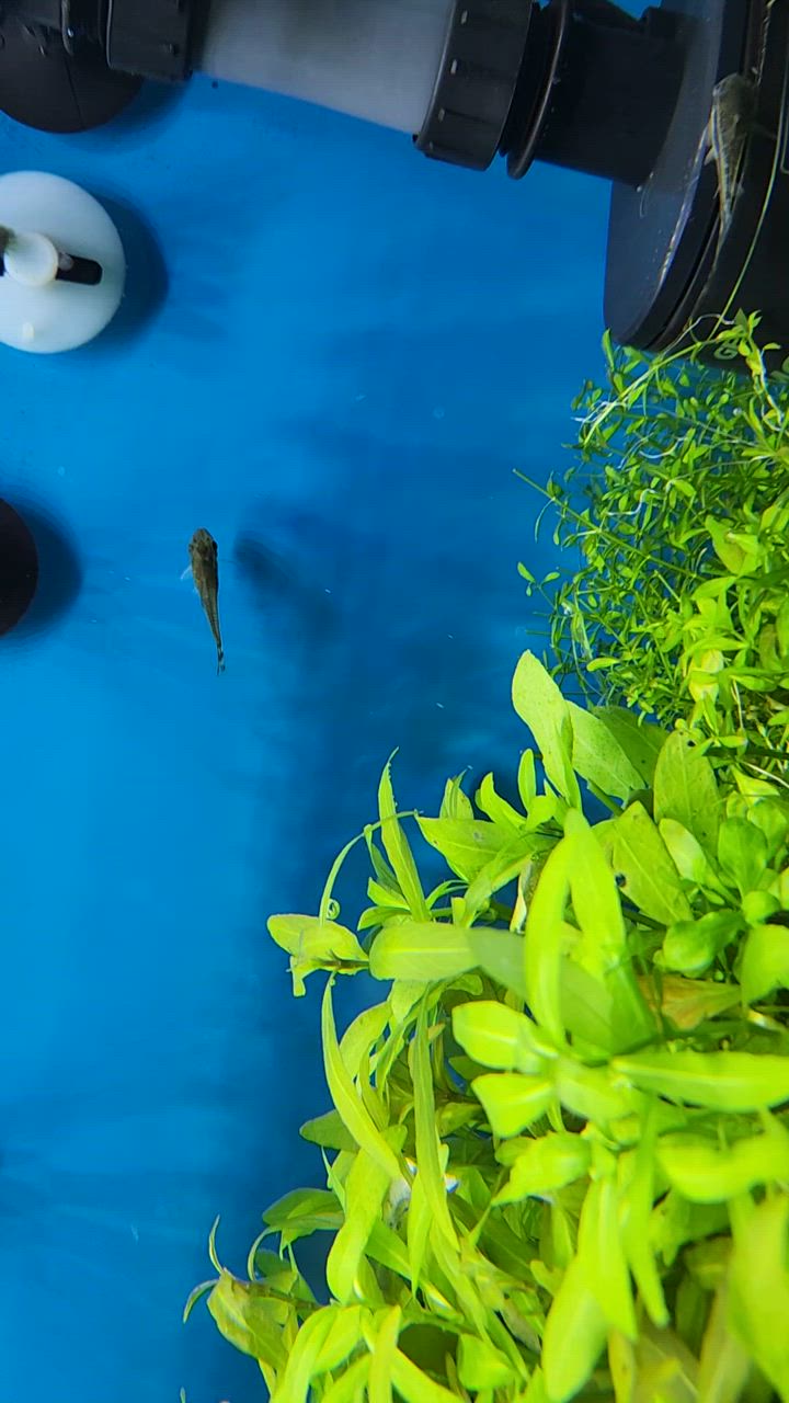 全体のレビュー動画のサムネイル | 0