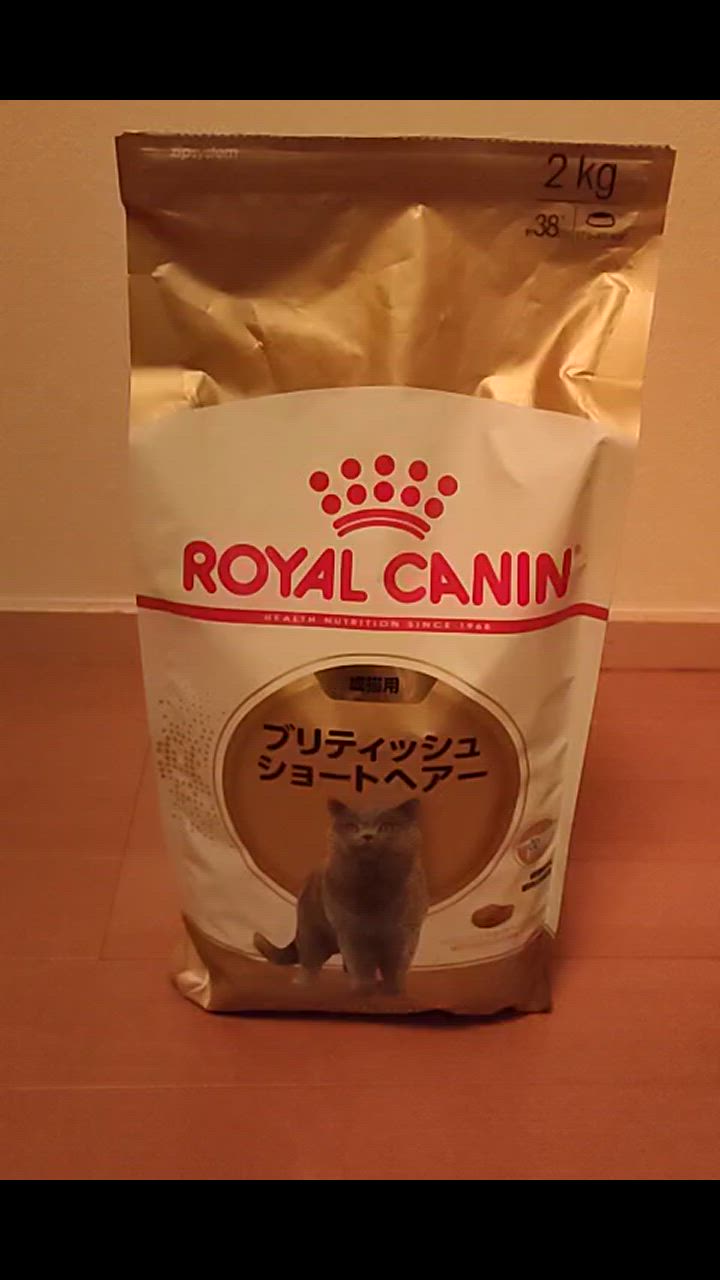 7件目のレビュー動画のサムネイル | 0