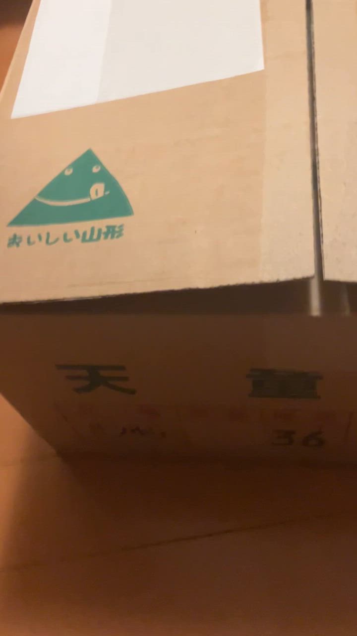 全体のレビュー動画のサムネイル | 0
